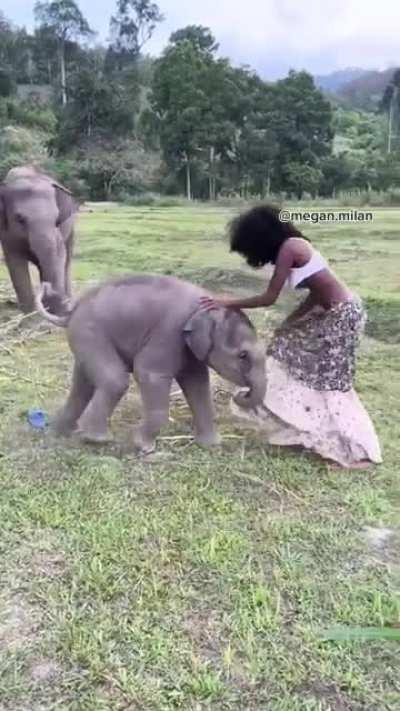To take a photo with a baby elephant