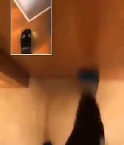 i am clinically insane 🗿