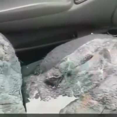 How'd you manage that?