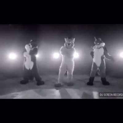 I guess he doesn’t like them 🤷‍♂️