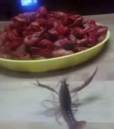 The crawl fish massacre of 1735