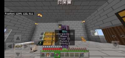 ready to kill Ender Dragon, wish me luck