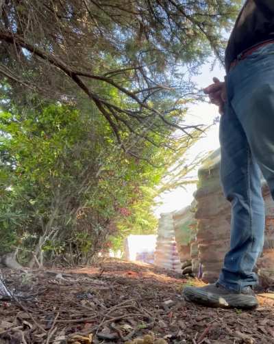 (28) Relieving Myself at the Wood's Edge