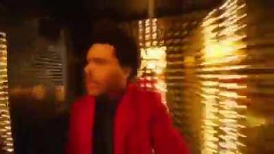 Me looking for that GME squeeze I keep hearing about