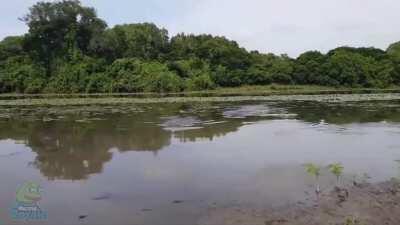 Just some calm fishery here..