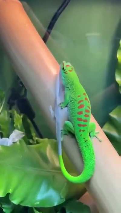 When you get home after a long day of work and can take your pants off