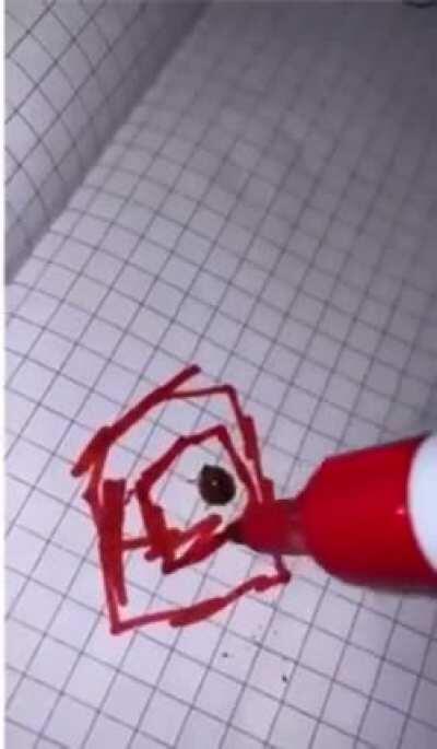 a bug reacts to being boxed in