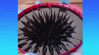 Who can give a name or description for this thing?!