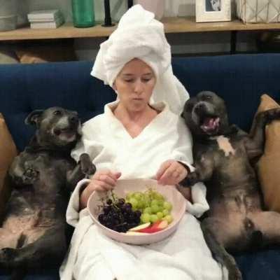 Lazy weekend at home .