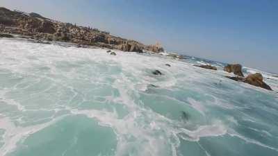 When you avoid the urge to chase the birds