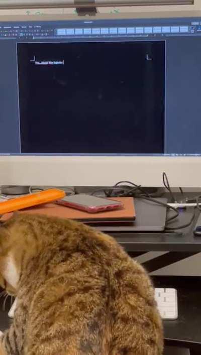 Gotta get these TPS Reports done!