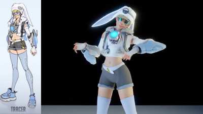 Fan made Tracer survey skin