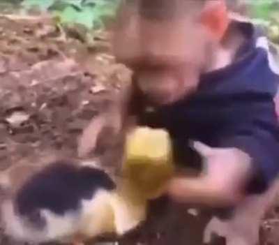 Monkey must be wary of duck