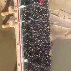 Colossal crowds of Iranians filling the streets in ahwaz