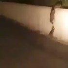 Outstanding teamwork 🦝