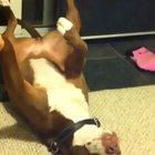 Oh shit! Here comes the nail clippers.