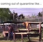 Gonna send this one to my boss