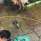 Edgar, can you do this?