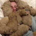 Now this is a dogpile I would love.