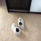 There was a young kitten that lived in a slipper.