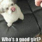 Who's a good girl