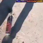 WAGTHROman testand un rodditor daca e potrivit pt r/WAGTRO cu proba: alearga dupe logo cu metroul in spate