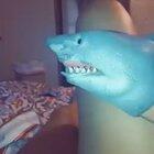 If you're happy and you know it, clap your hands!