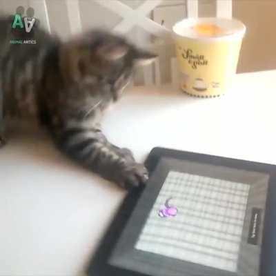 Savage predator went a bit too ham on its target