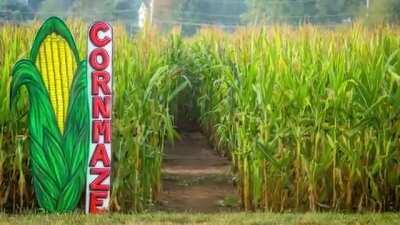 Posting this here just to download it