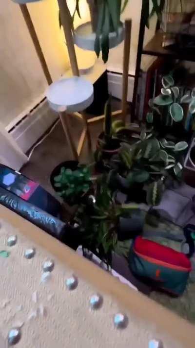 That *Was* A Beautiful Orchid!