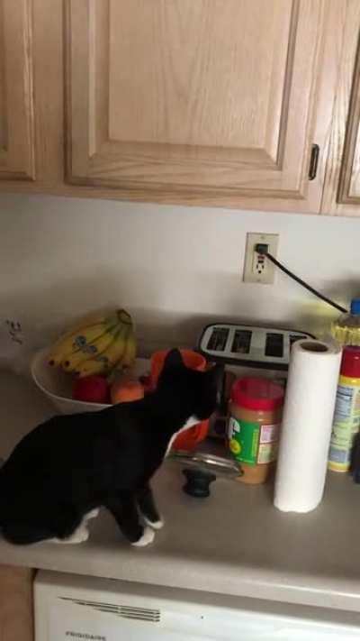 Ed is NOT a fan of the toaster