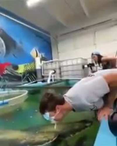 Swimming with the fishes