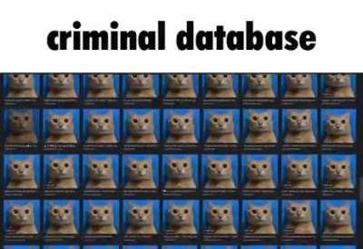 criminals