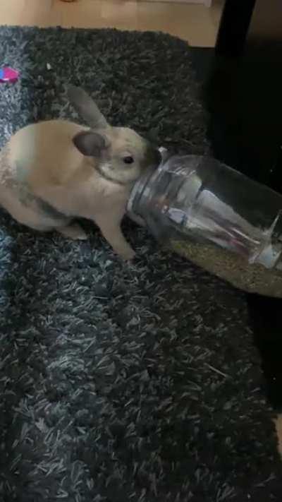 I fear his intelligence.