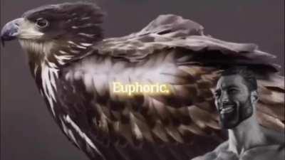 My brain at this very moment