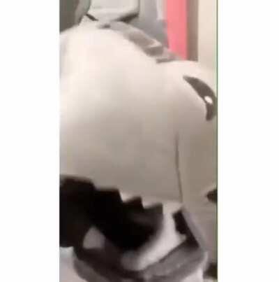 why did he push the cat off like tha- 😐