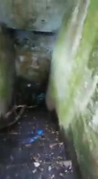 Abandoned places, what’s in them?