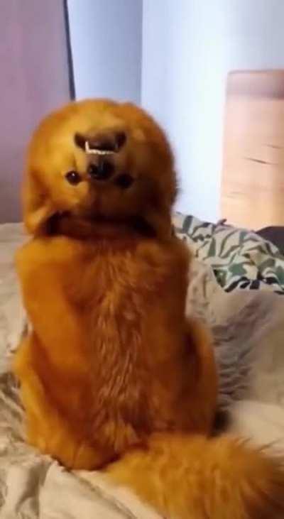 It looks scary, but we got used to it 😂