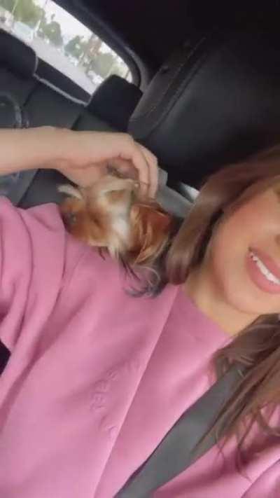 “The iconic look” throughout the years.