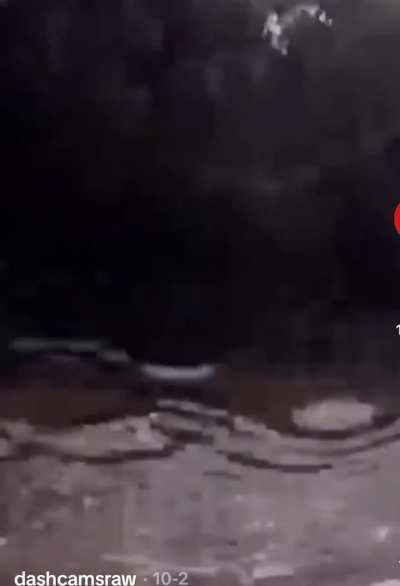 POV Misleading Puddle