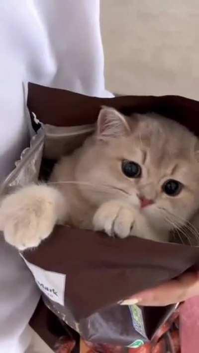 Where can I buy chips with this flavor haha