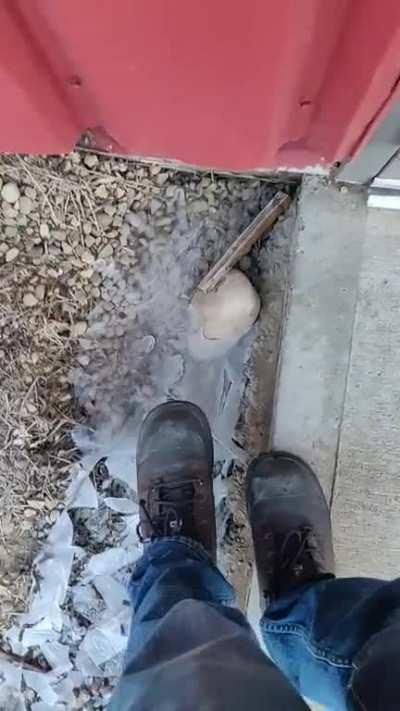 I got one this morning !