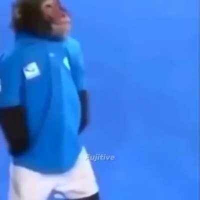 Monke ayudando a un usuario de r/MAAU