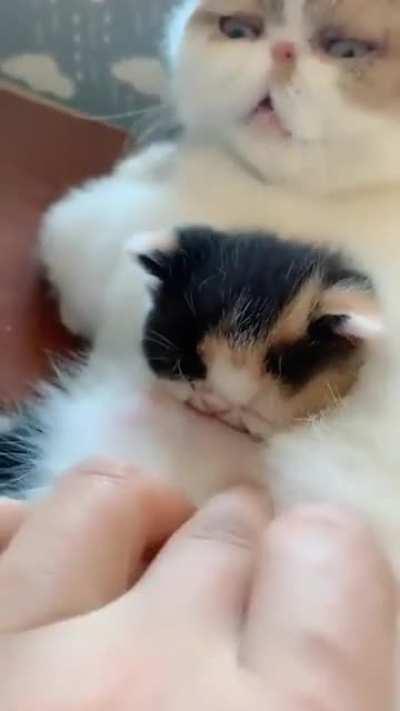 Don't touch my baby!