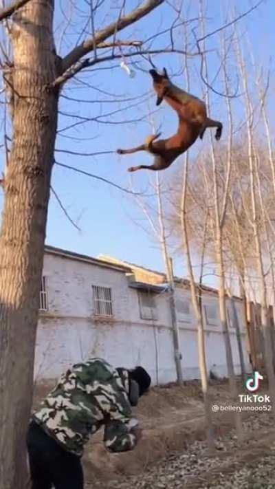 The face says it all