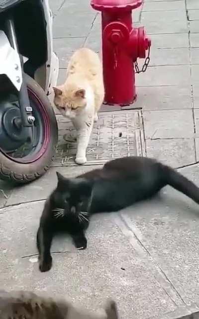 She catches him red handed with other girl 😂😆