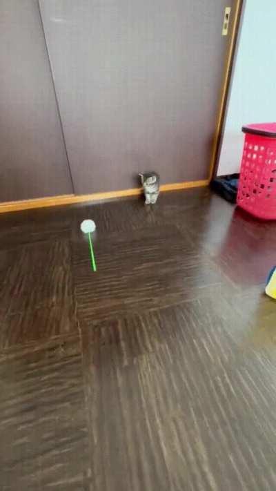 Incredible reaction time.