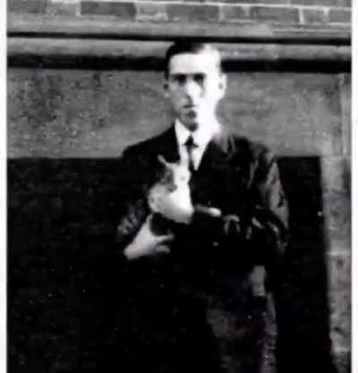 HP Lovecraft cat