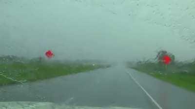 (ASMR) you commit a drive-by on zero two and flee the scene on foot