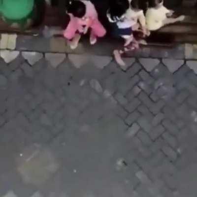 Monkey pulls up on a motorcycle and steals a child.